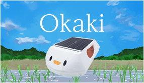 Okaki